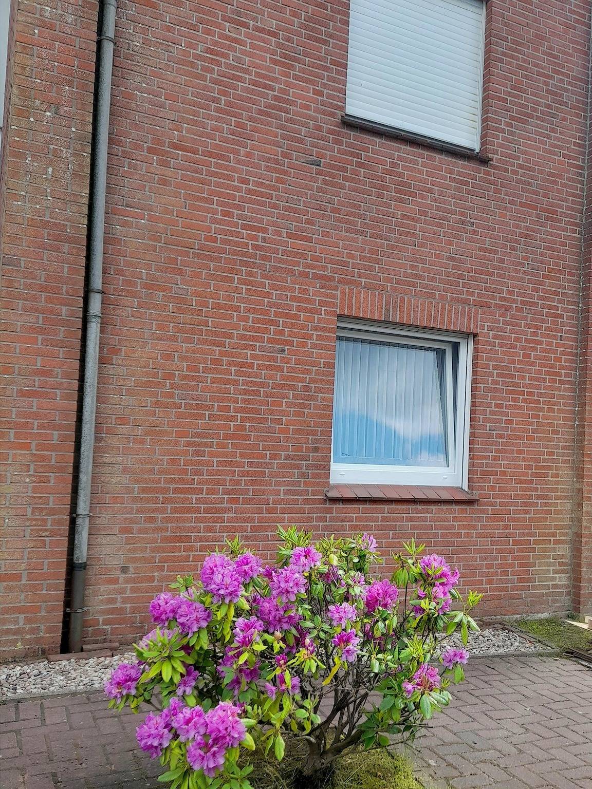 Ganze Wohnung, Apartment 'Möwe 146' mit privater Terrasse in Horumersiel, Wangerland