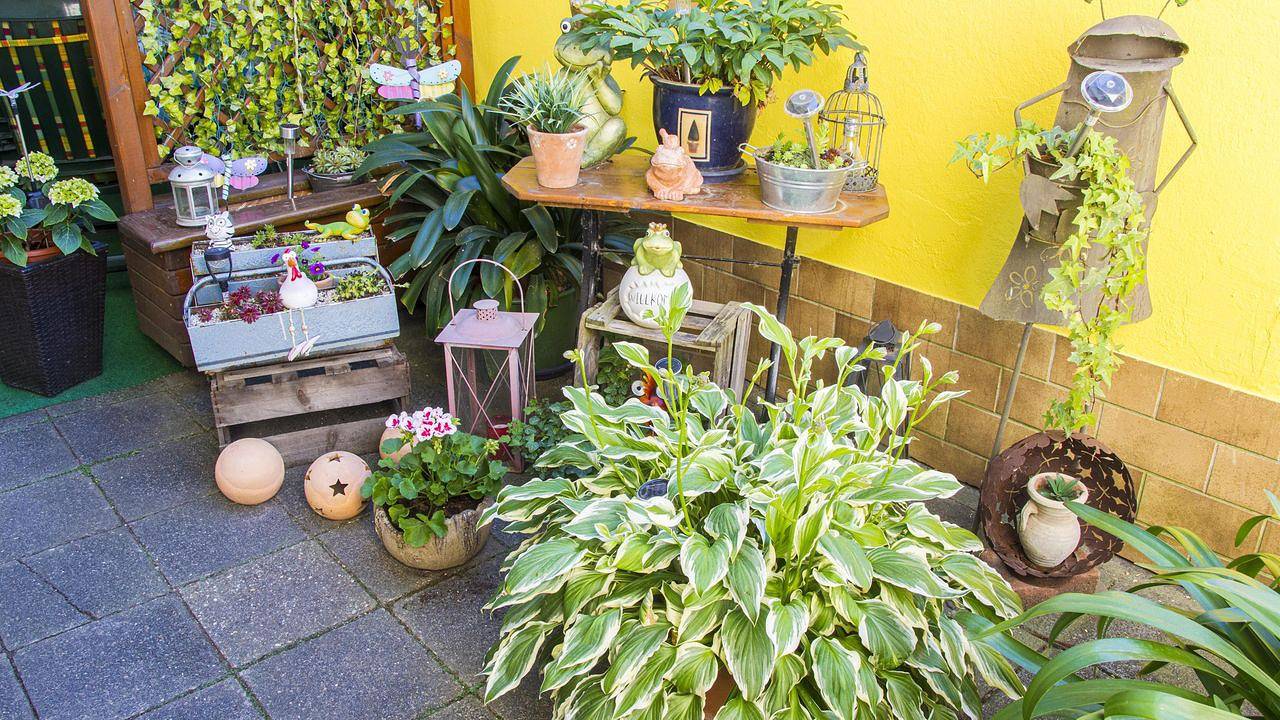 Ganze Ferienwohnung, Ferienwohnung für 3 Personen (50 m²) in Billigheim-Ingenheim in Billigheim-Ingenheim, Südliche Weinstraße