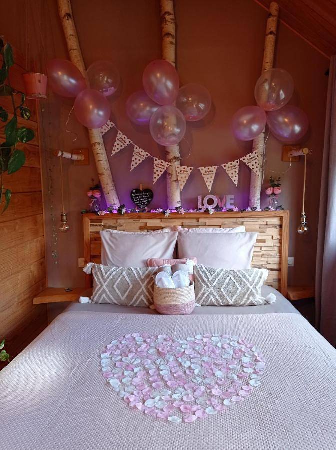 Chalet pour 2 personnes, avec terrasse ainsi que jardin et jacuzzi dans Loiret - 2