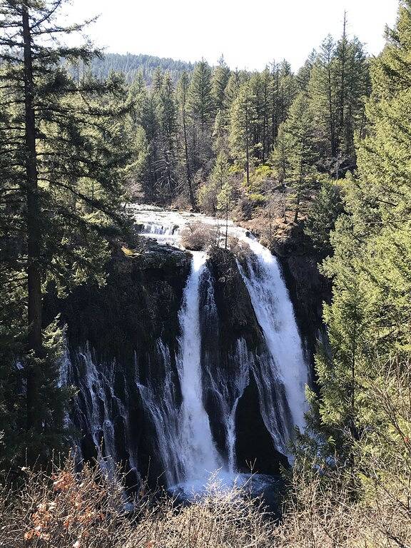 Sie werden unser wunderschön eingerichtetes Ferienhaus im Wald lieben in Shasta County