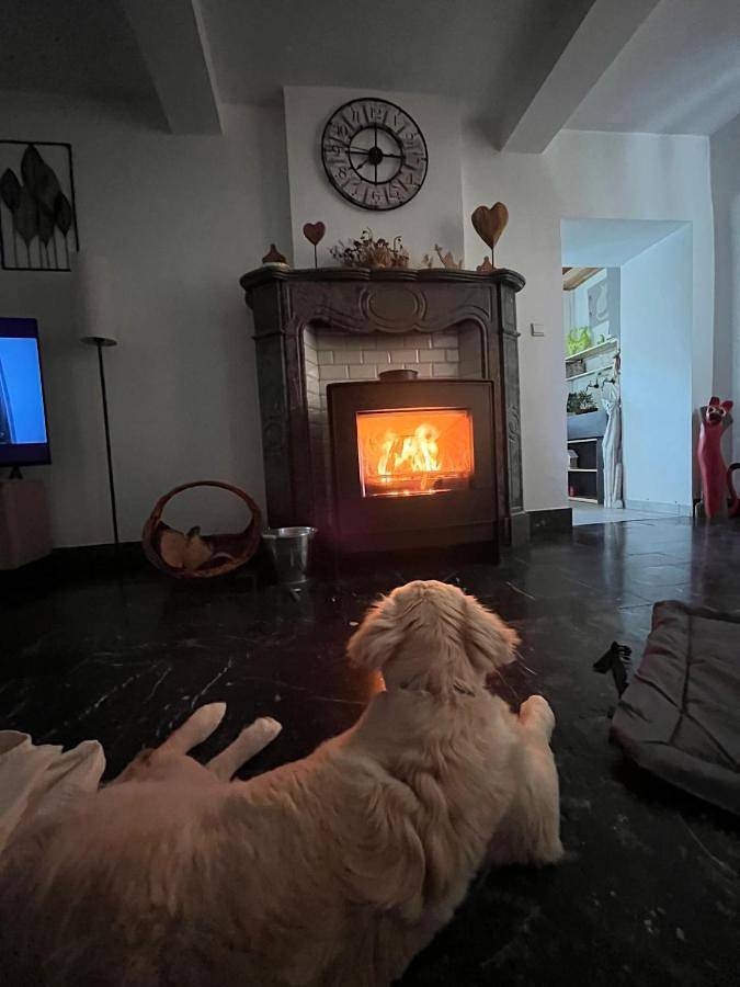 Location de vacances pour 2 personnes, avec terrasse à Wellin - 4