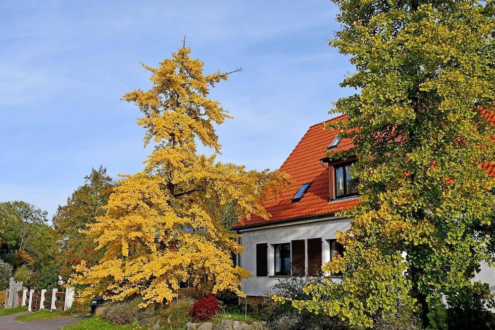 Apartamento entero, Casa de vacaciones en Lauterbach con estufa de azulejos - Alquiler de vacaciones en Lauterbach con estufa de azulejos in Lauterbach (Rügen), Putbus