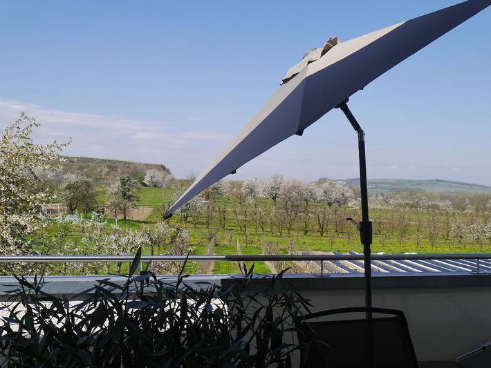 Ferienhaus für 3 Personen, mit Balkon in Kaiserstuhl - 3