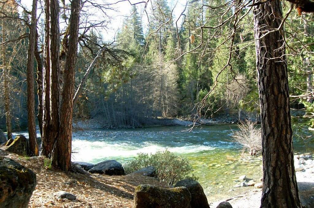 River Song - Zentrale Klimaanlage! in Wawona, Mariposa County