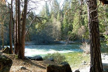Log Cabin for 6 Guests in Wawona, Mariposa County, Picture 3