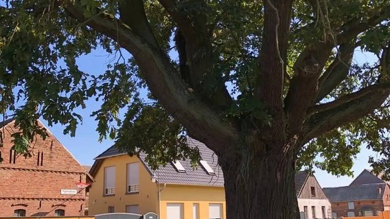 Ganze Ferienwohnung, Ferienwohnung für 3 Personen (63 m²) in Schönwald in Waldow/ Brand, Schönwald (Brandenburg)
