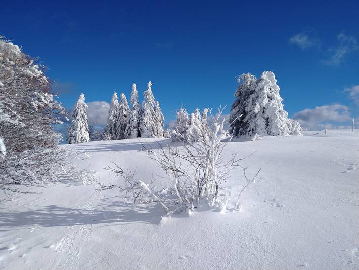 Gîte für 7 Personen, mit Garten, mit Haustier in den Vogesen - 3