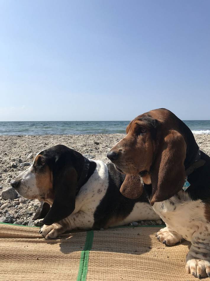 Ferienwohnung für 3 Personen, mit Garten und Terrasse in Gelbensande - 4