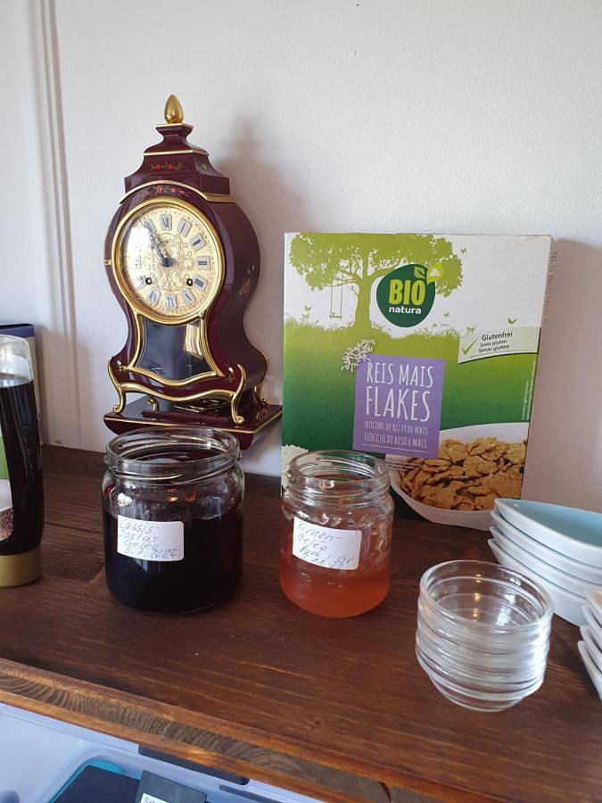 Chambre d’hôte pour 4 personnes, avec vue et terrasse, adapté aux familles dans Région de Grisons - 3