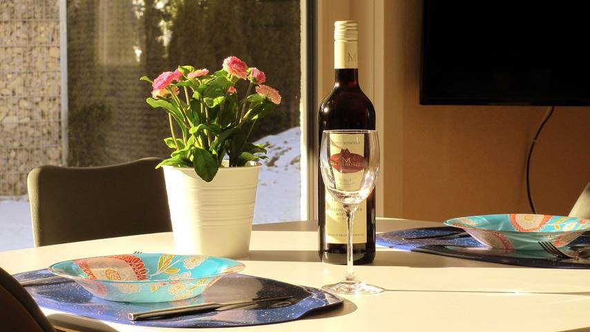 Ferienwohnung für 3 Personen, mit Garten, mit Haustier in Immenstaad - 3