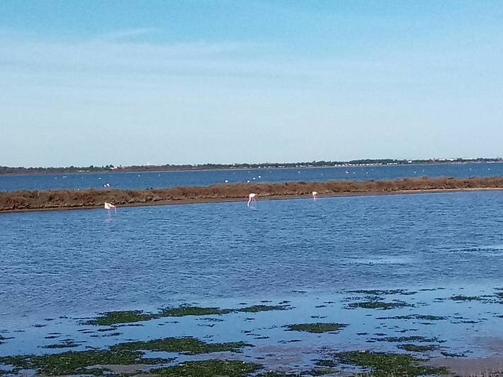 Gîte pour 3 personnes, avec terrasse et vue dans Casino de Palavas les Flots - 2