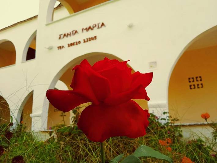 Maison d’hôte pour 3 personnes, avec jardin et vue, animaux acceptés à Corfou - 2