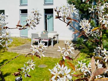 Bungalow für 5 Personen in Karlshagen, Usedom, Bild 3