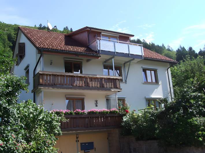 Ferienwohnung für 4 Personen, mit Balkon und Garten in Todtnau - 3
