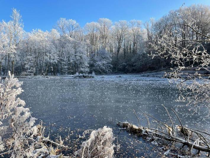 Location de vacances pour 8 personnes, avec jardin et piscine ainsi que vue sur le lac et vue, animaux acceptés à Florennes - 4