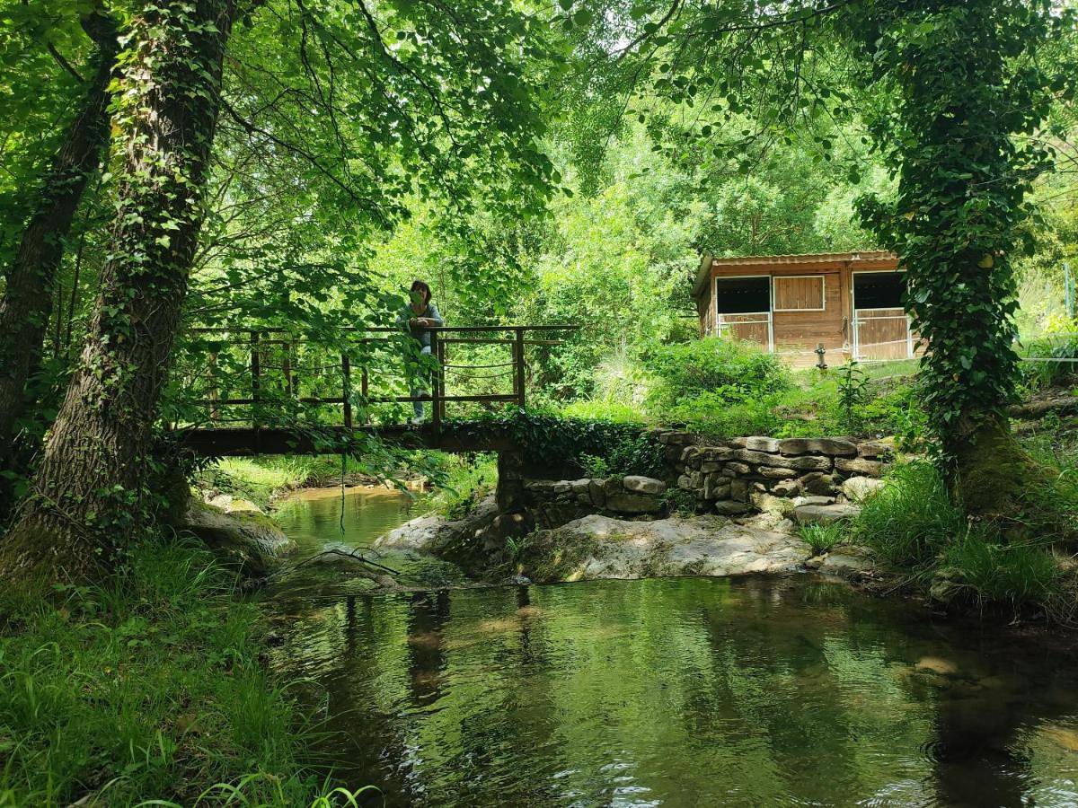 Les deux ruisseaux Fozieres in Fozières, Région de Lodève