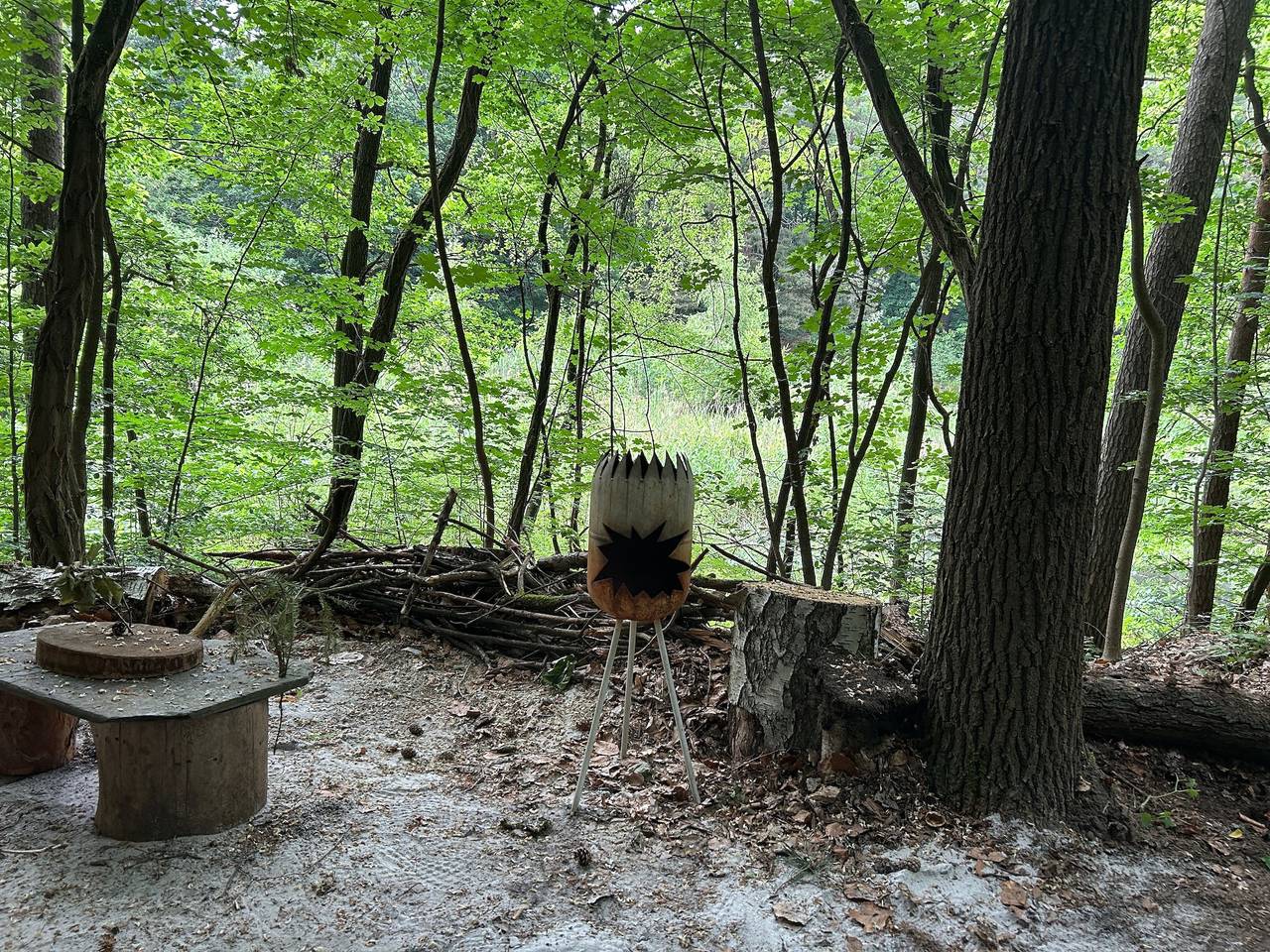 Waldfloß Biberspur in Coswig (Anhalt), Fläming