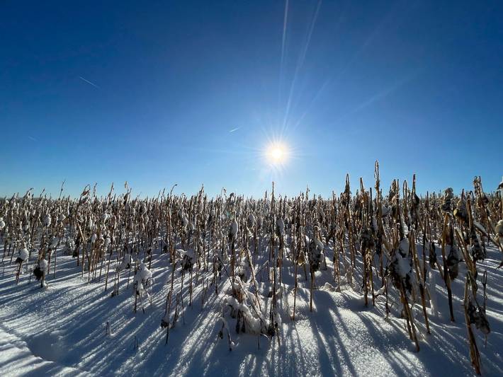 Ferienwohnung für 3 Personen, mit Terrasse und Garten sowie Ausblick in der Fränkische Schweiz