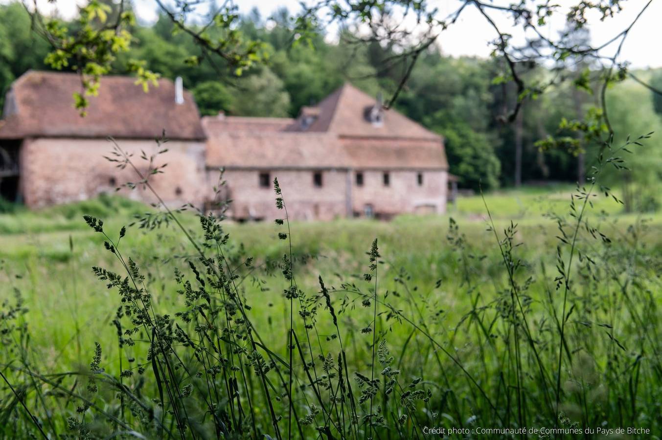 Chambres d'hôtes en pleine nature - Moulin Paulusmühle - La chambre des Tâcherons in Soucht, Sarreguemines