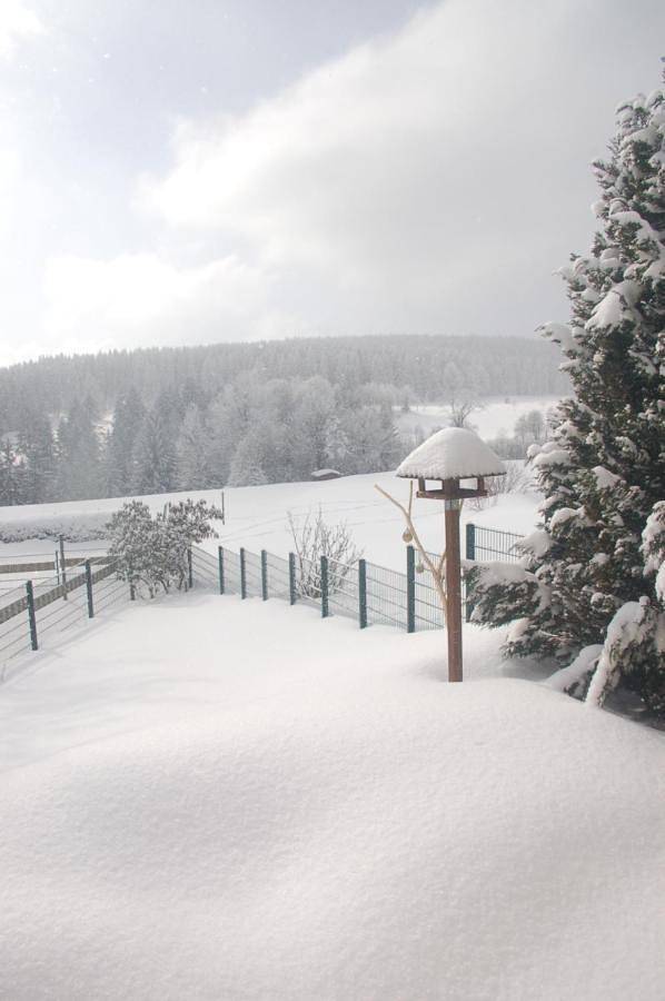 Ferienhaus für 3 Personen, mit Ausblick und Garten, mit Haustier in Neuhaus am Rennweg - 2