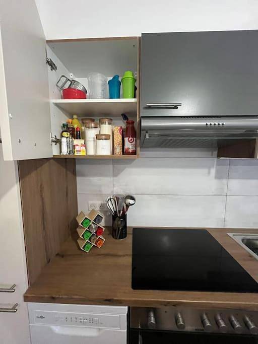 Appartement entier, Two-Bedroom Apartment in Gumbrechtshoffen, Nord de l'Alsace