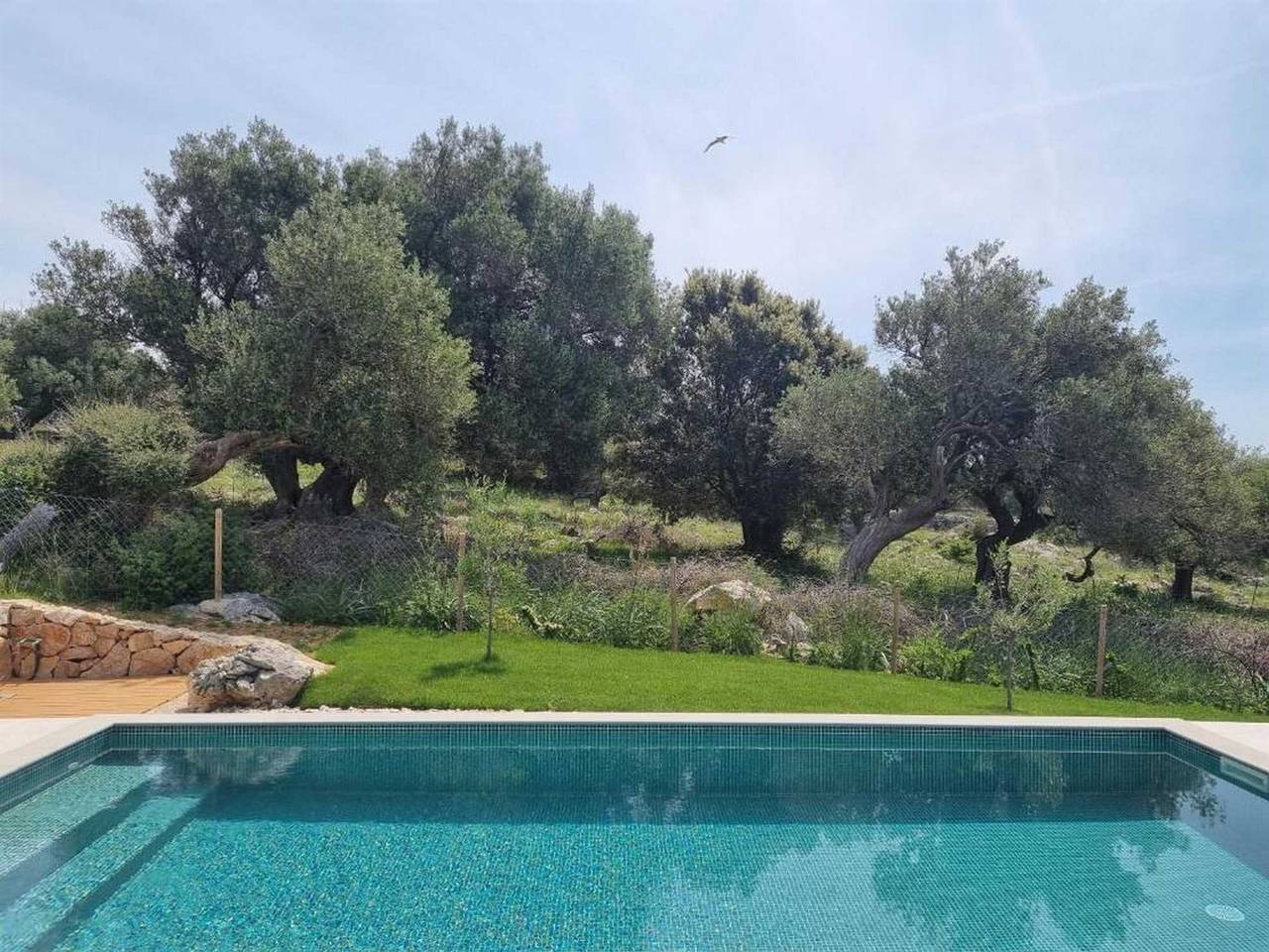 Experience Villa Kadila – Heated Pool & Sauna in a Timeless Olive Grove in Novalja, Pag