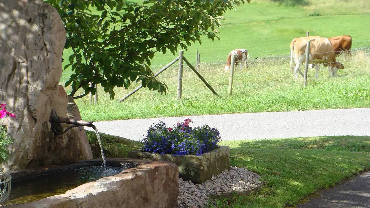 Ganze Ferienwohnung, Ferienwohnung für 4 Personen (64 m²) in Baiersbronn in Tonbach, Baiersbronn