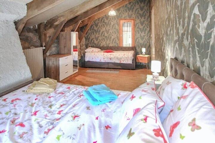 Location de vacances pour 11 personnes, avec balcon ainsi que jardin et jacuzzi à Saint-Étienne-de-Serre - 4