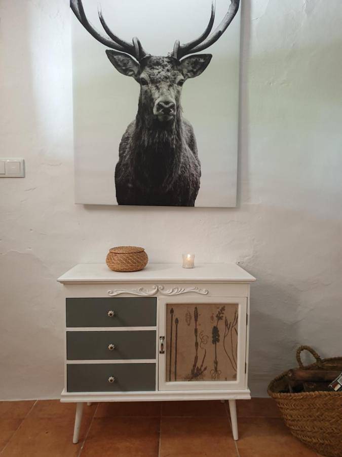 Casa rural para 10 personas, con terraza en Los Calares del Mundo y de la Sima - 2