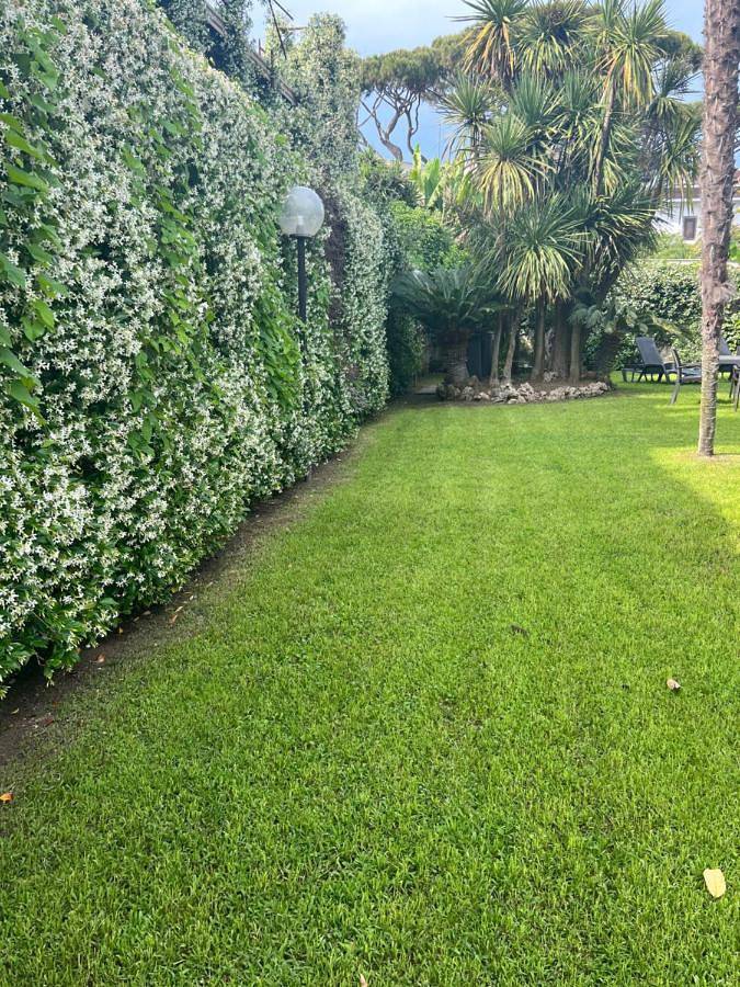 Location de vacances pour 9 personnes, avec jardin à Fregene - 3