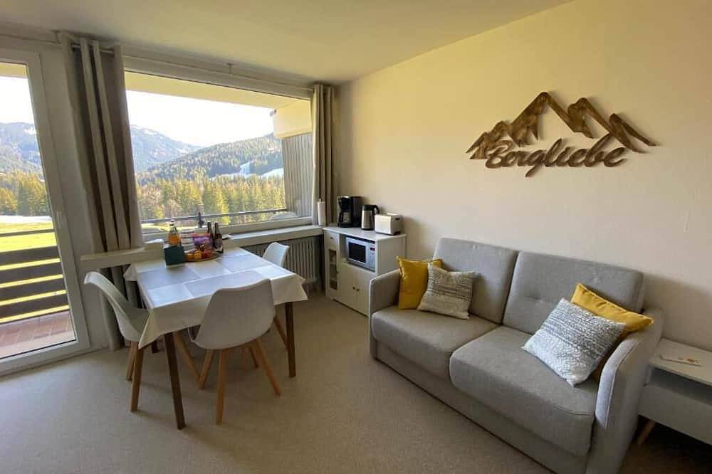 Ganze Wohnung, 1-Zimmer- Appartment mit Bergblick an der Skipiste mit Wlan, Netflix, Prime in Balderschwang, Bayerisch Schwaben