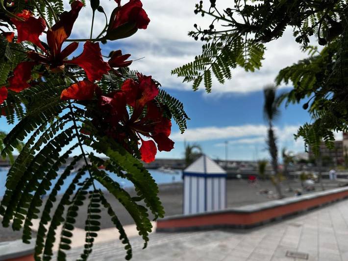 Gîte pour 2 personnes dans Playa de San Juan