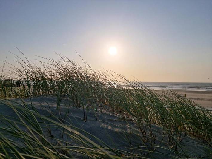 Gîte pour 2 personnes, avec vue et jardin dans Hoek van Holland - 3