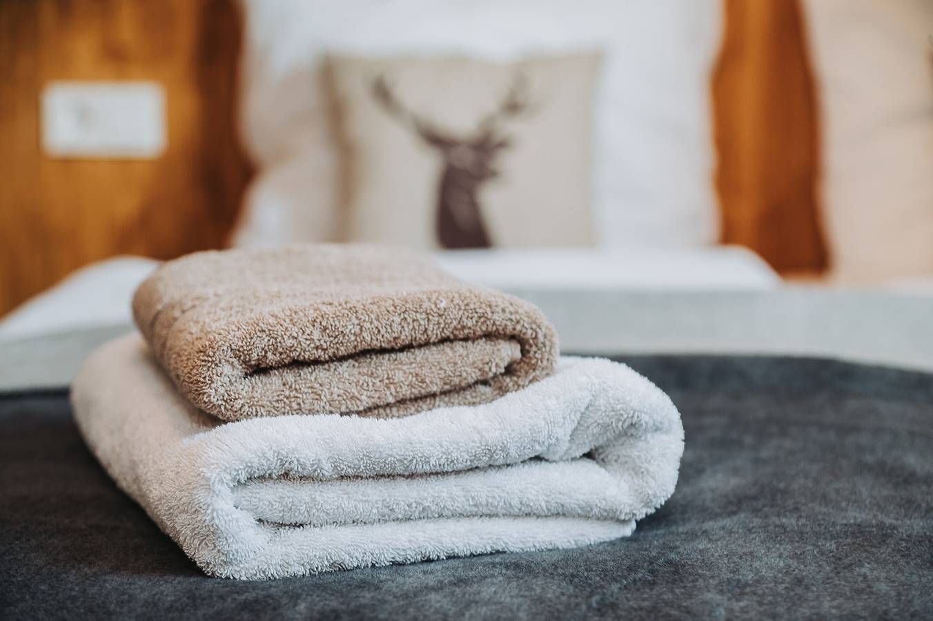 Ganze Wohnung, Appartement 'Familienlodge Berger Bergsee' mit Balkon und Wlan in Sankt Michael im Lungau, Bundesland Salzburg