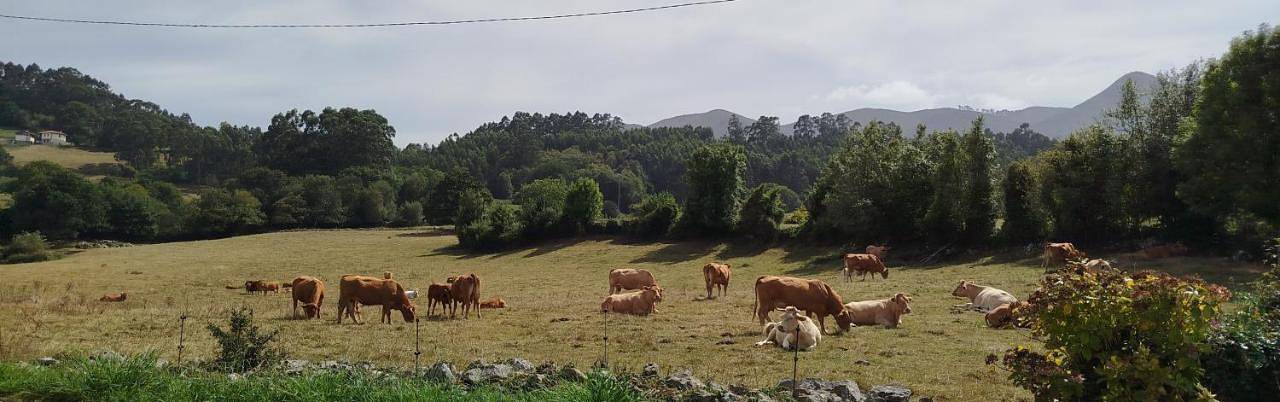 Casa rural para 4 personas, con vistas y jardín en Llanes - 2