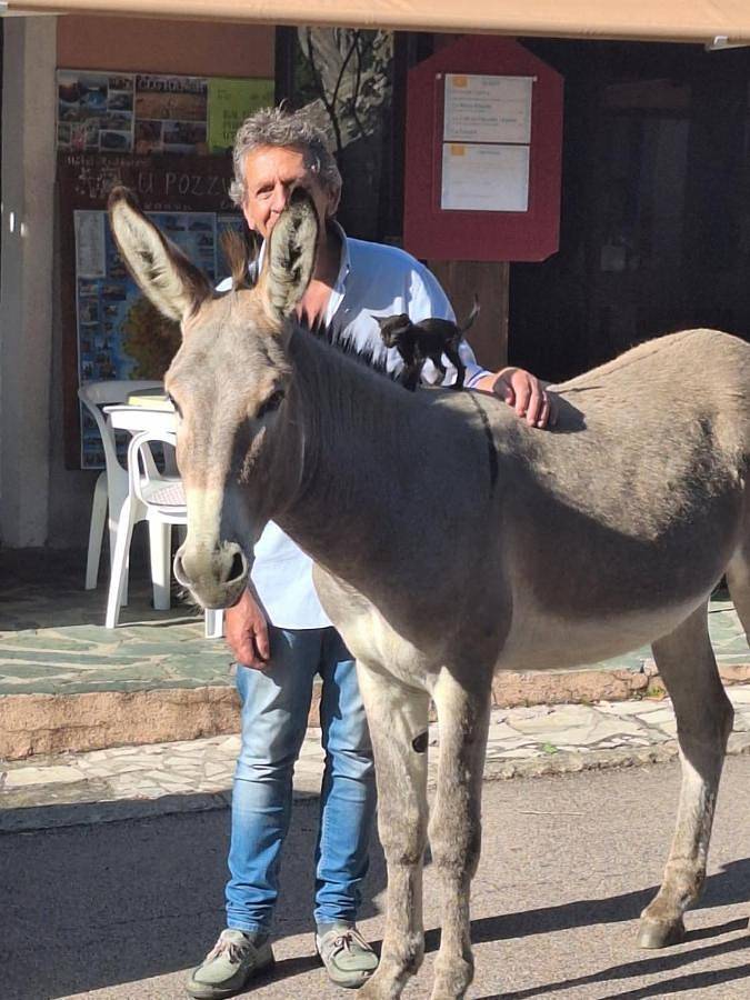 Hôtel pour 2 personnes, avec vue et terrasse, animaux acceptés à Évisa - 2