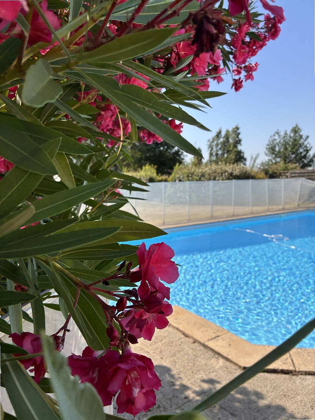 Gîte grande capacité avec piscine privée 13 personnes in Baleyssagues, Région de Marmande