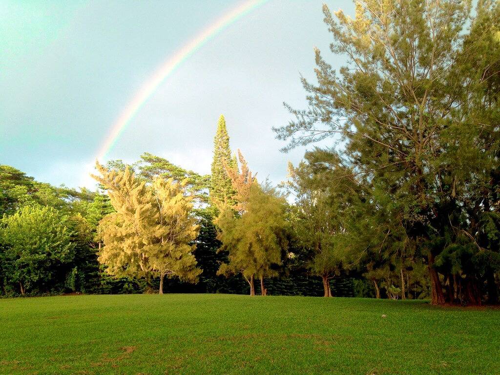 Ganze Wohnung, Friedliches & Privates Studio | 12 Hektar Hobby-Bio-Obstbauernhof || Strand 10 Minuten in Haiku-Pauwela, Maui