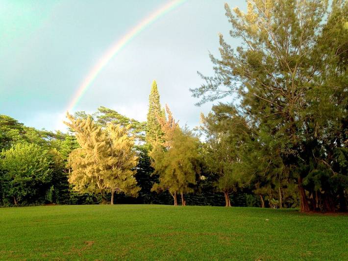 Holiday rental for 4 people, with terrace and garden on Maui