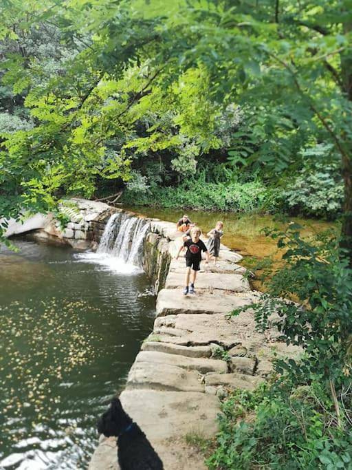 Location de vacances pour 8 personnes, avec piscine et balcon ainsi que vue et jardin à Vesseaux - 3