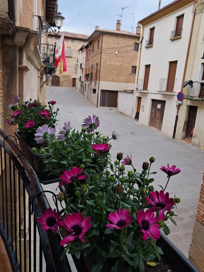 Location de vacances pour 14 personnes, avec Balcon ainsi que Terrasse et Vue à Los Arcos