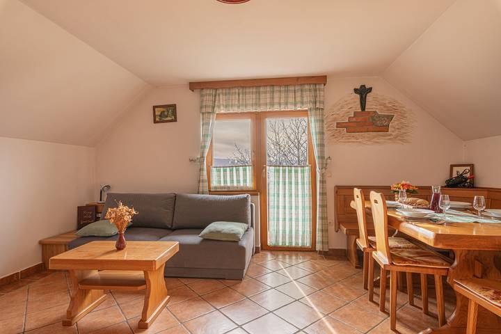 Gîte pour 4 personnes, avec terrasse et sauna, animaux acceptés dans Novo mesto - 4