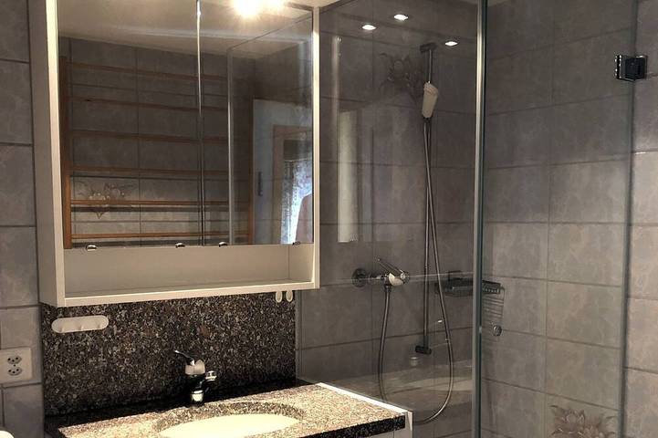 Ganze Wohnung, Casa Mulinera 1 Gvh, (Camischolas/Sedrun), 243.01 in Sedrun, Tujetsch