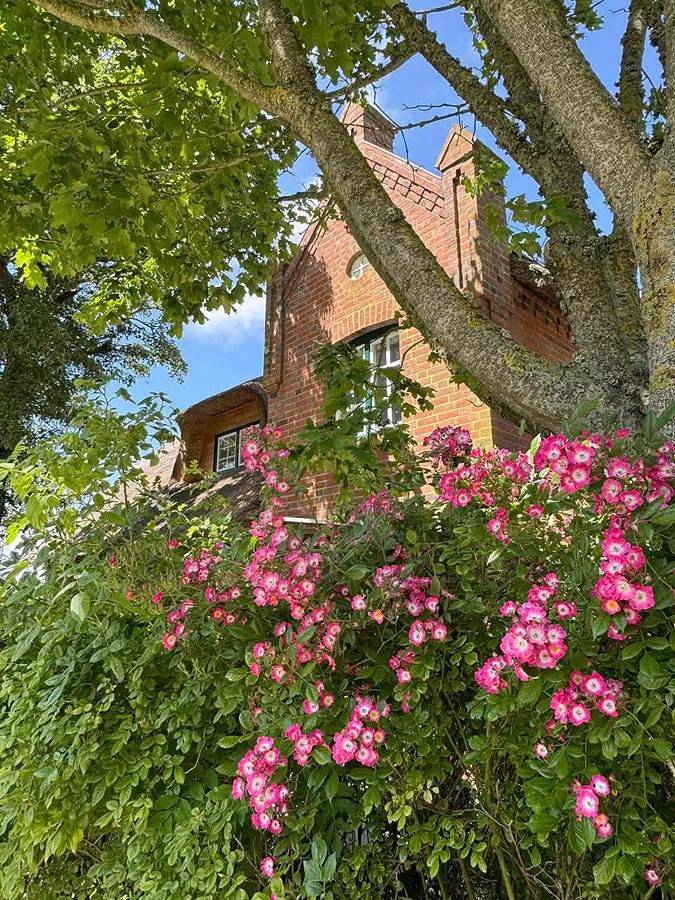 Ferienhaus für 7 Personen, mit Ausblick und Garten, kinderfreundlich in Pellworm
