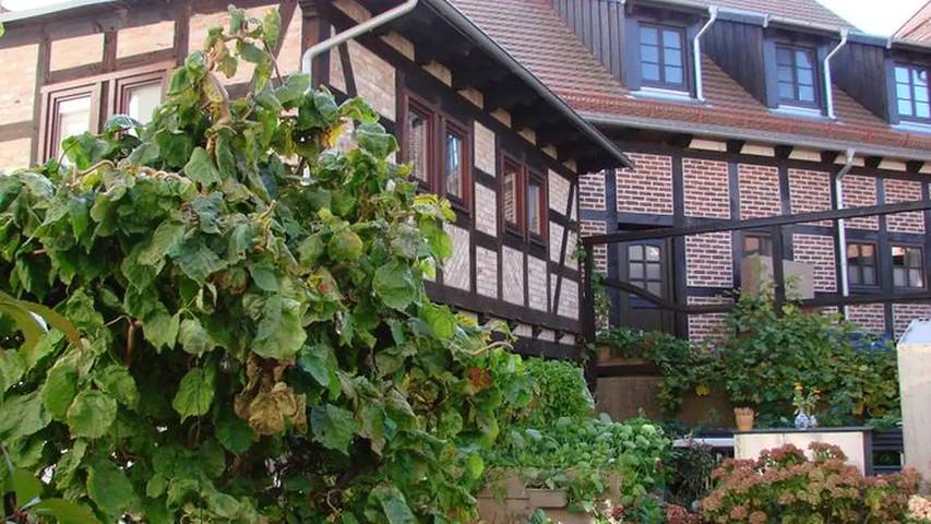 Holiday apartment for 3 people, with garden - 1
