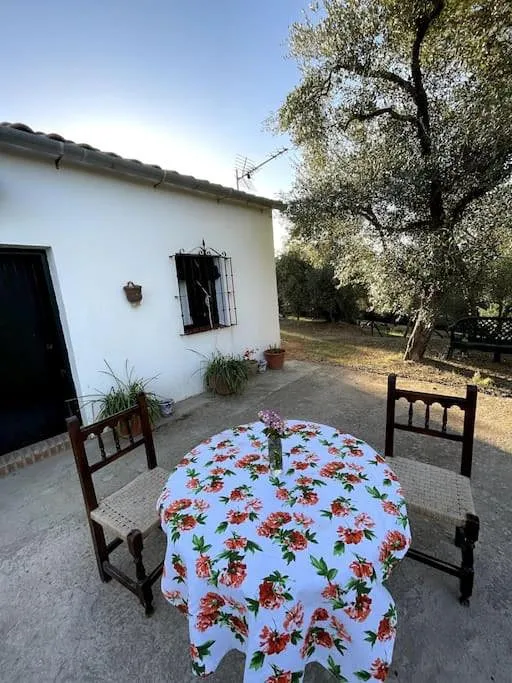 Apartamento de vacaciones para 5 personas, con terraza y piscina - 1
