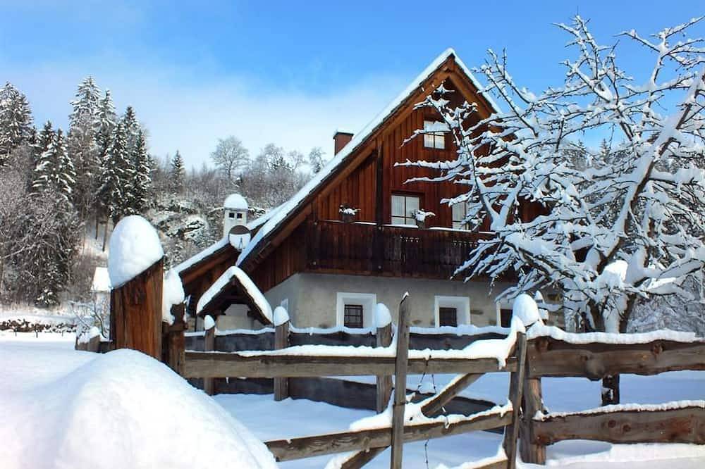 Ferienhaus \"Alte Schmiede\" - Ferienhaus/3 Schlafräume/ Dusche, Wc in Mariahof, Lavanttaler Alpen