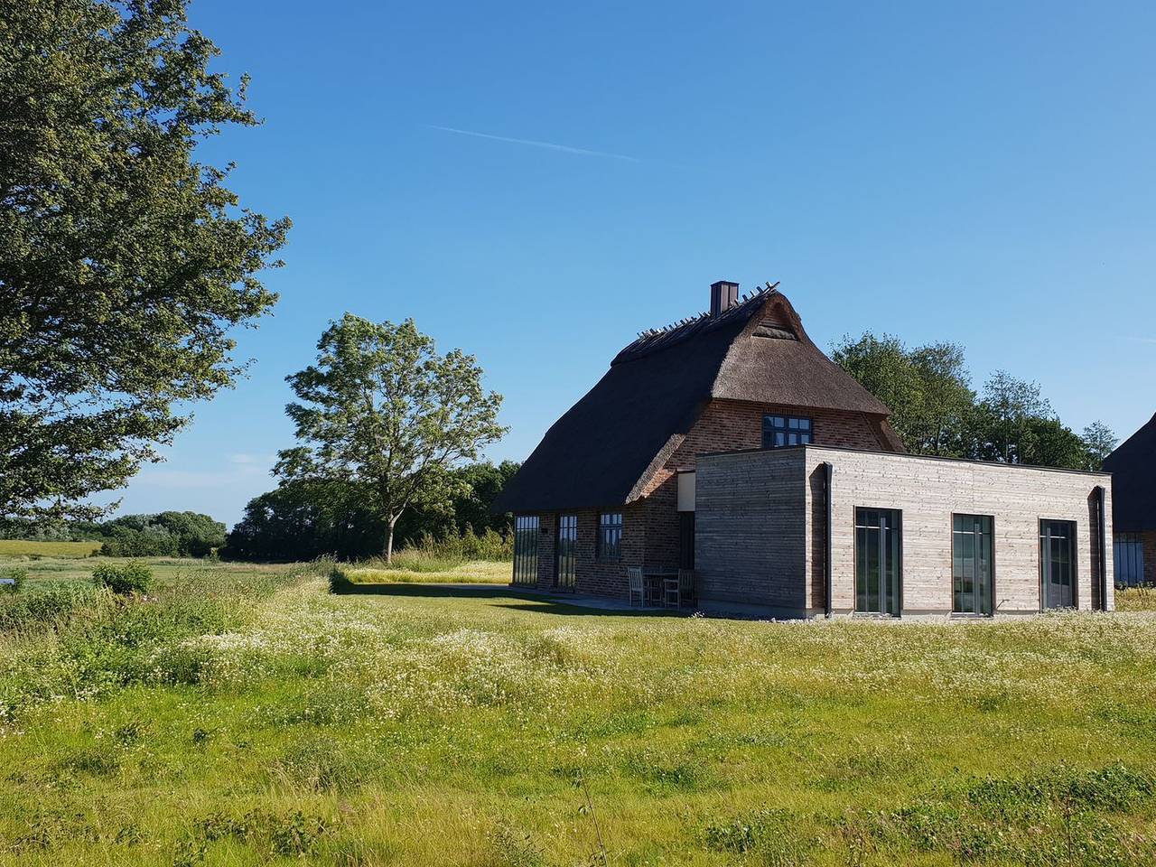 Feenkraut – das Atelierhaus unter Reet für bis zu 8 Personen, direktem Seeblick. in Geltinger Birk, Nieby