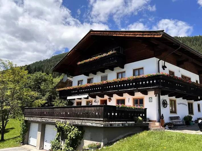 Ferienwohnung für 11 Personen, mit Balkon und Terrasse in Neukirchen am Großvenediger