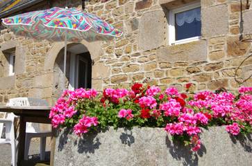 Gîte pour 4 Personnes dans Louannec, Cotes-d'Armor, Photo 1